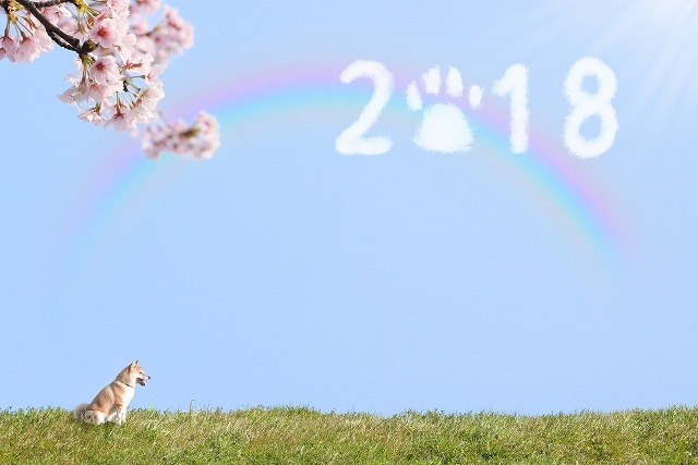 平成30年 戌年 新年をむかえて!