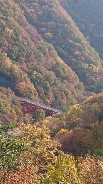 今年の紅葉♪　皆さんはどこへ行きましたか？