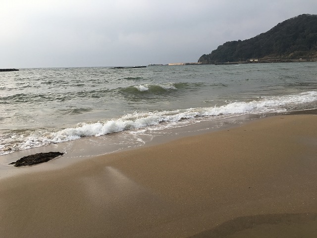 シーズン終わりましたが、日本海のカニ！夕日が浦温泉！
