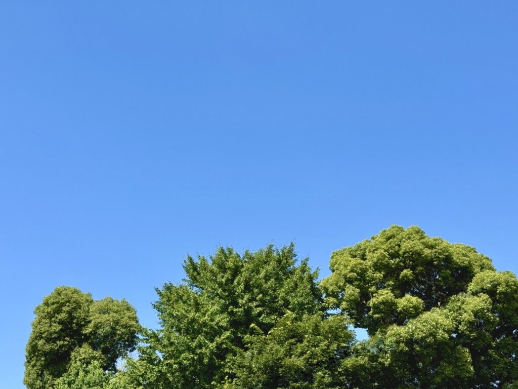 花粉の季節に備える家づくり。間取りと素材でできる対策とは