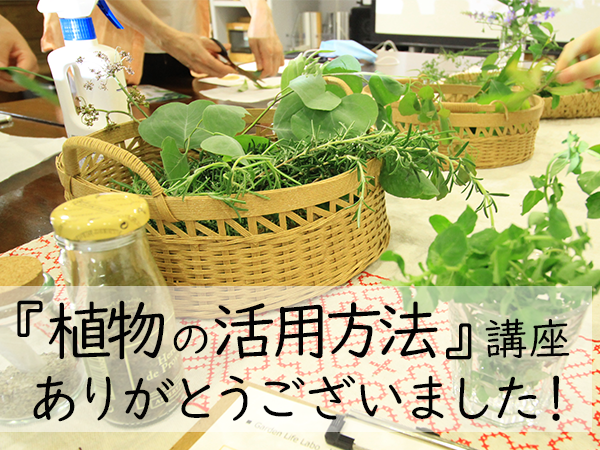 【開催レポ】理想の庭との暮らし　『植物の活用方法講座』ありがとうございました！